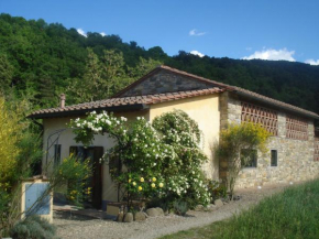 Il Cielo Bio - Il più piccolo B&B del Chianti Greve In Chianti